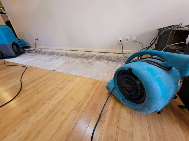 Professional Water Damage Repair technician working in Lawrenceville, IL
